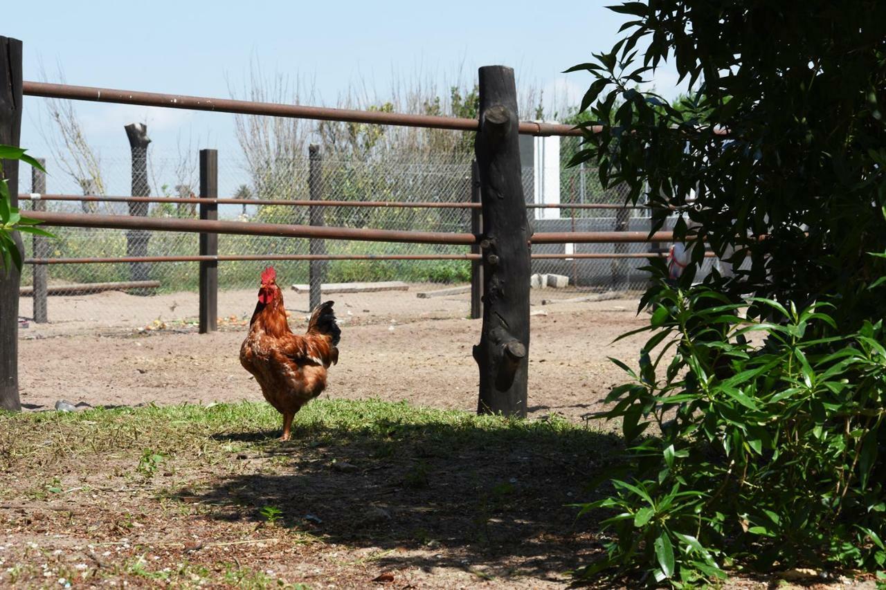 La Yeguada Zahora