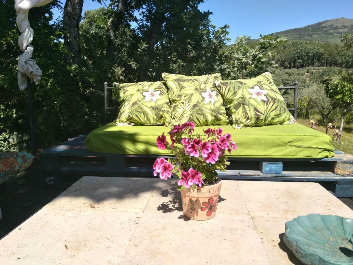 Rural Casa Alfayales-only Adults 3* Poyales Del Hoyo