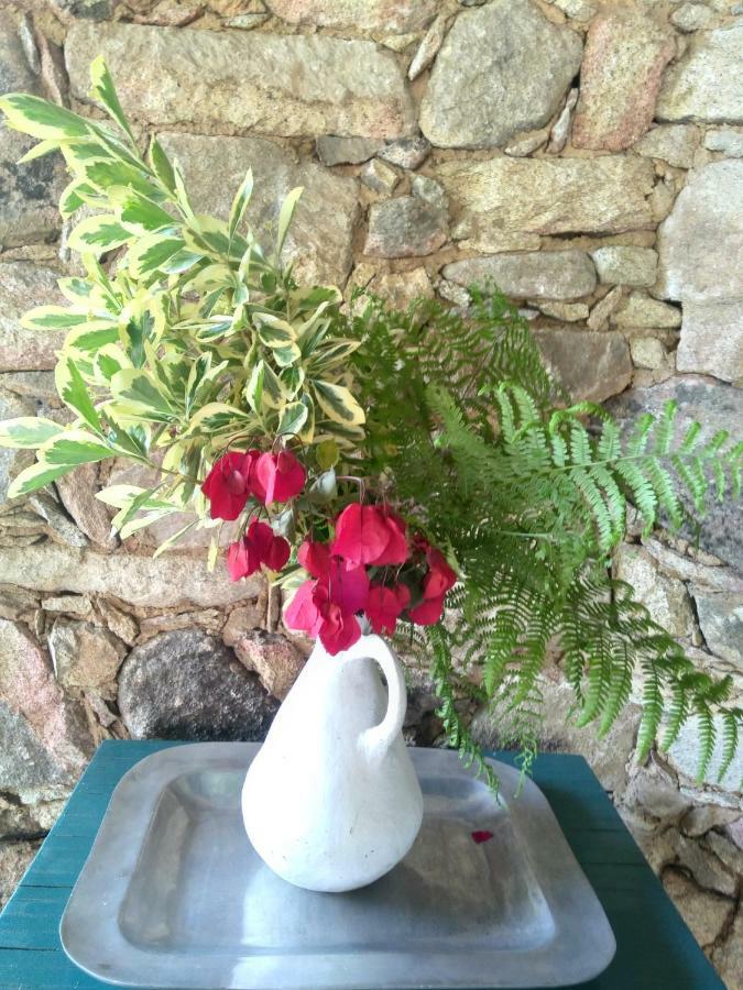 Bed & Breakfast Rural Casa Alfayales-only Adults