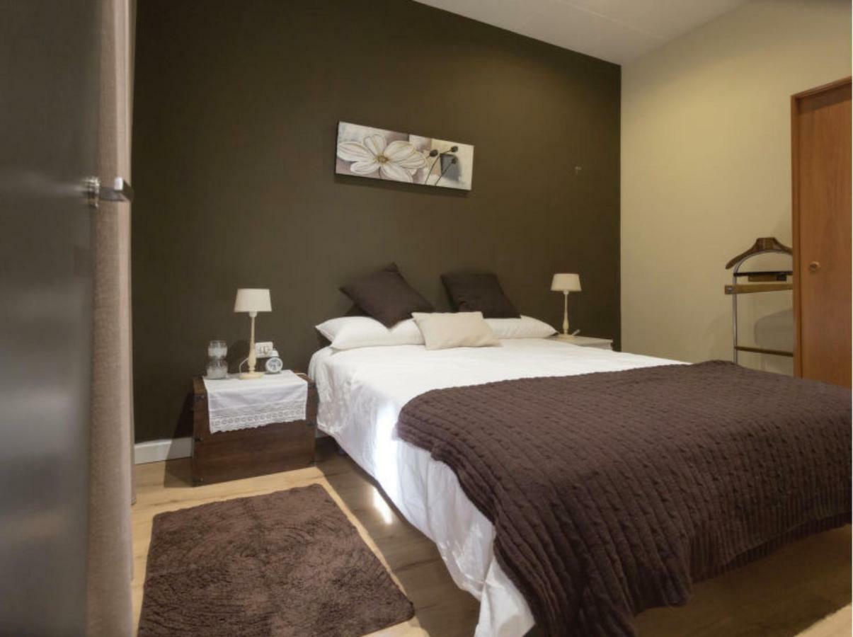 Centrico Apartment Ripoll