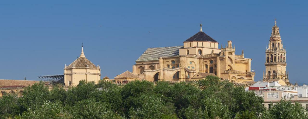 Casa Luz Cordoba