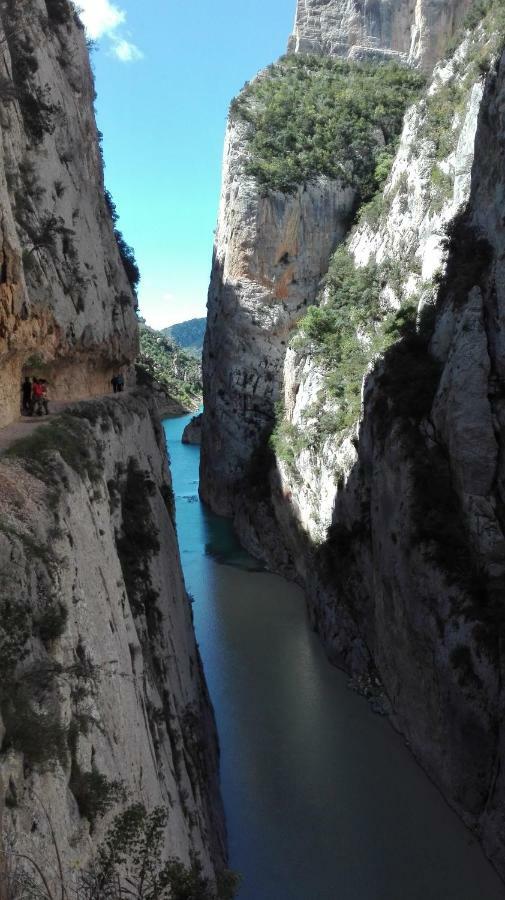 El Freginal * Tartareu