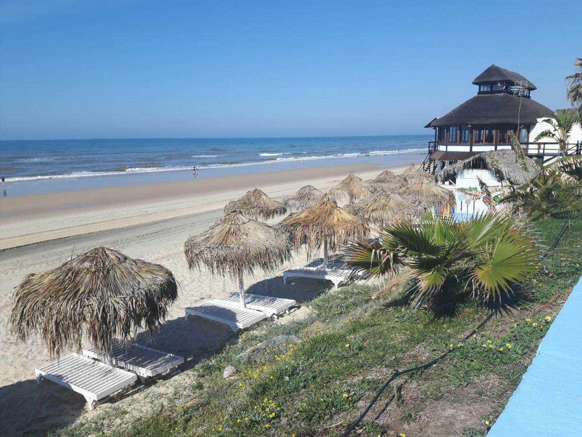 Apartamento Naturaleza Virgen