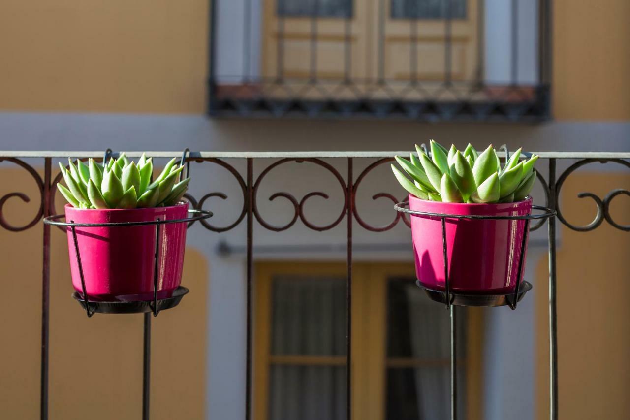 Casa Malvasía *