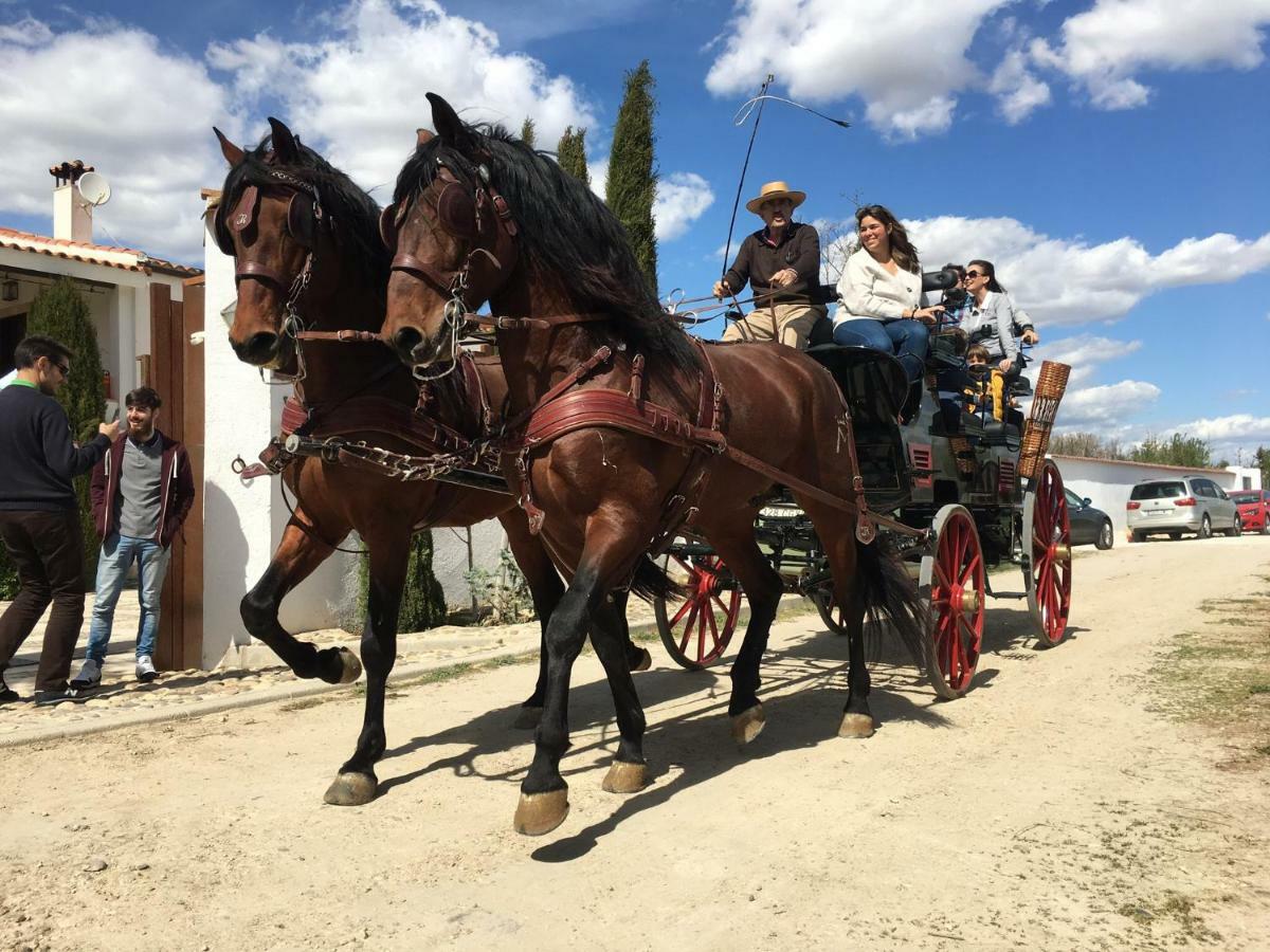 Hearts & Ponies Con Piscinas Privadas Cerca De La Warner Country house Chinchon