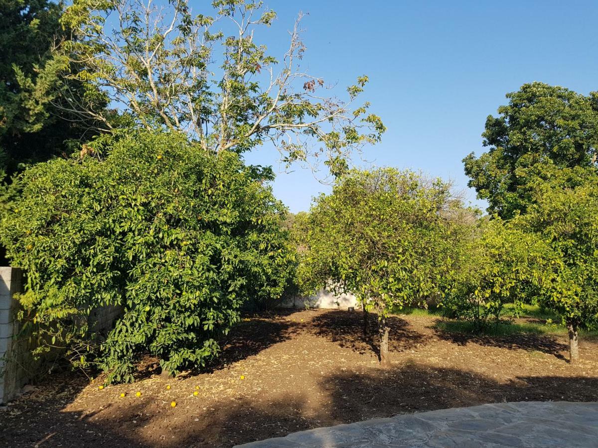 Fructus Villa