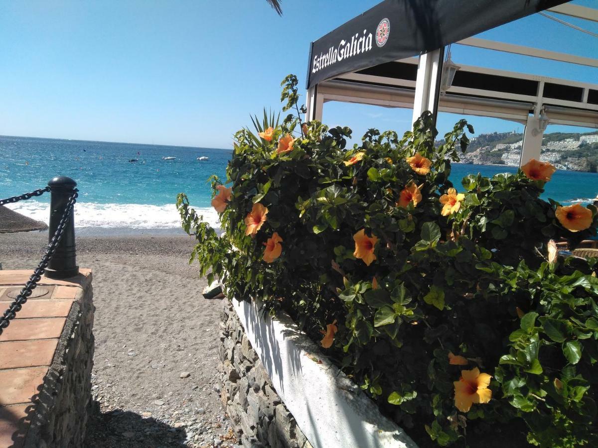 Vacaciones En El Mar Apartamento *