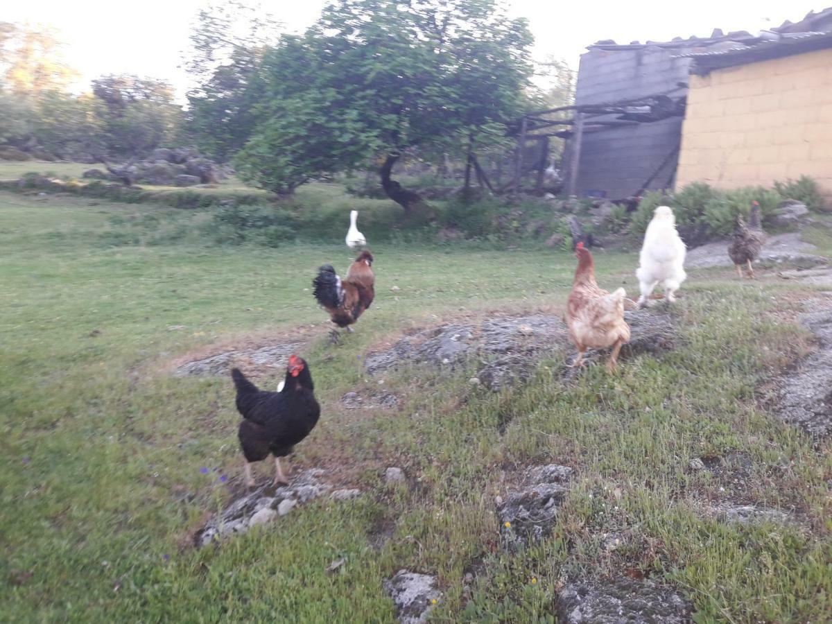 Rurales Ecopangea Country house Valverde de la Vera