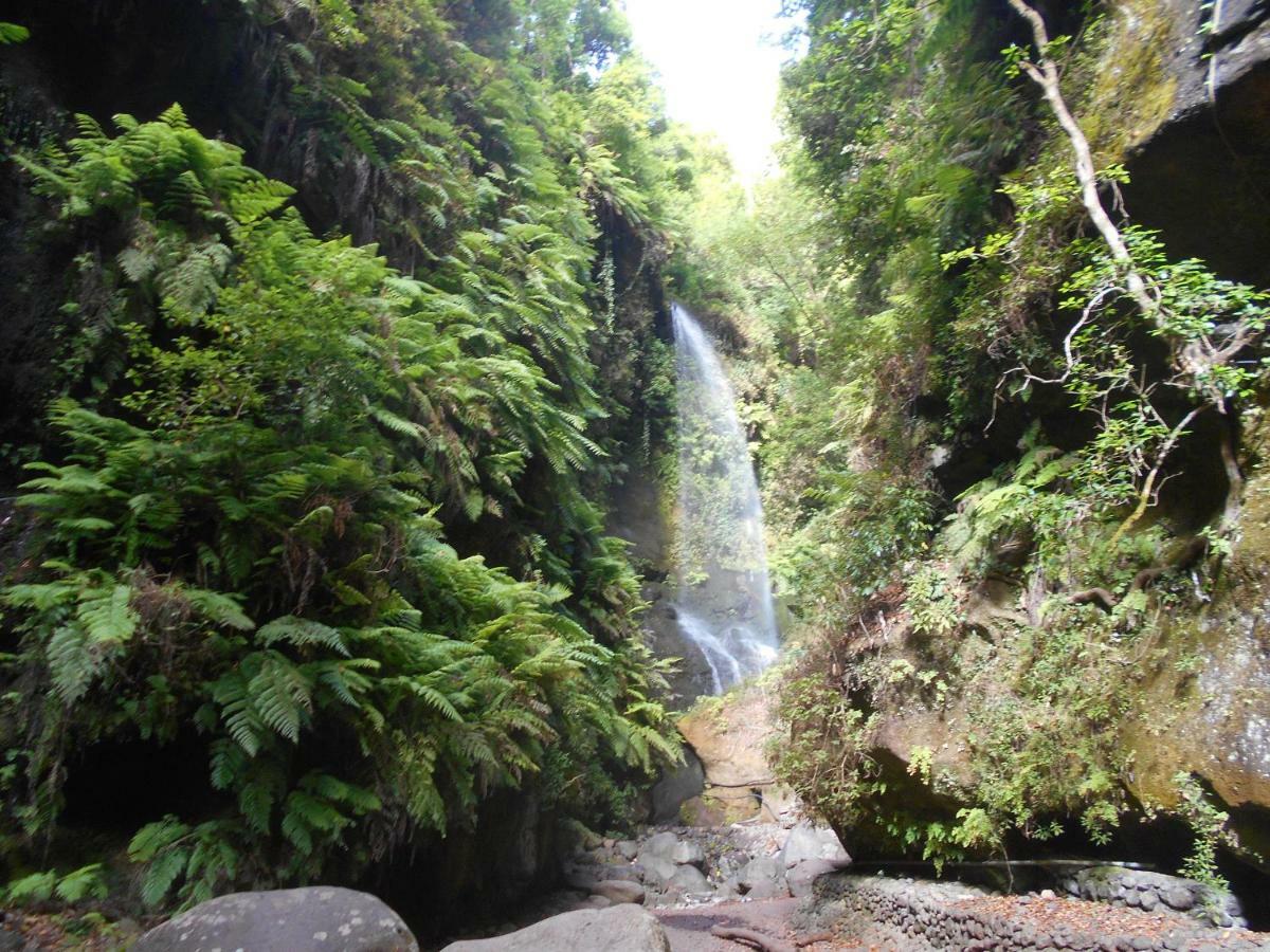 Il Gabbiano Playa Cancajos.- BreNa Baja (la Palma)