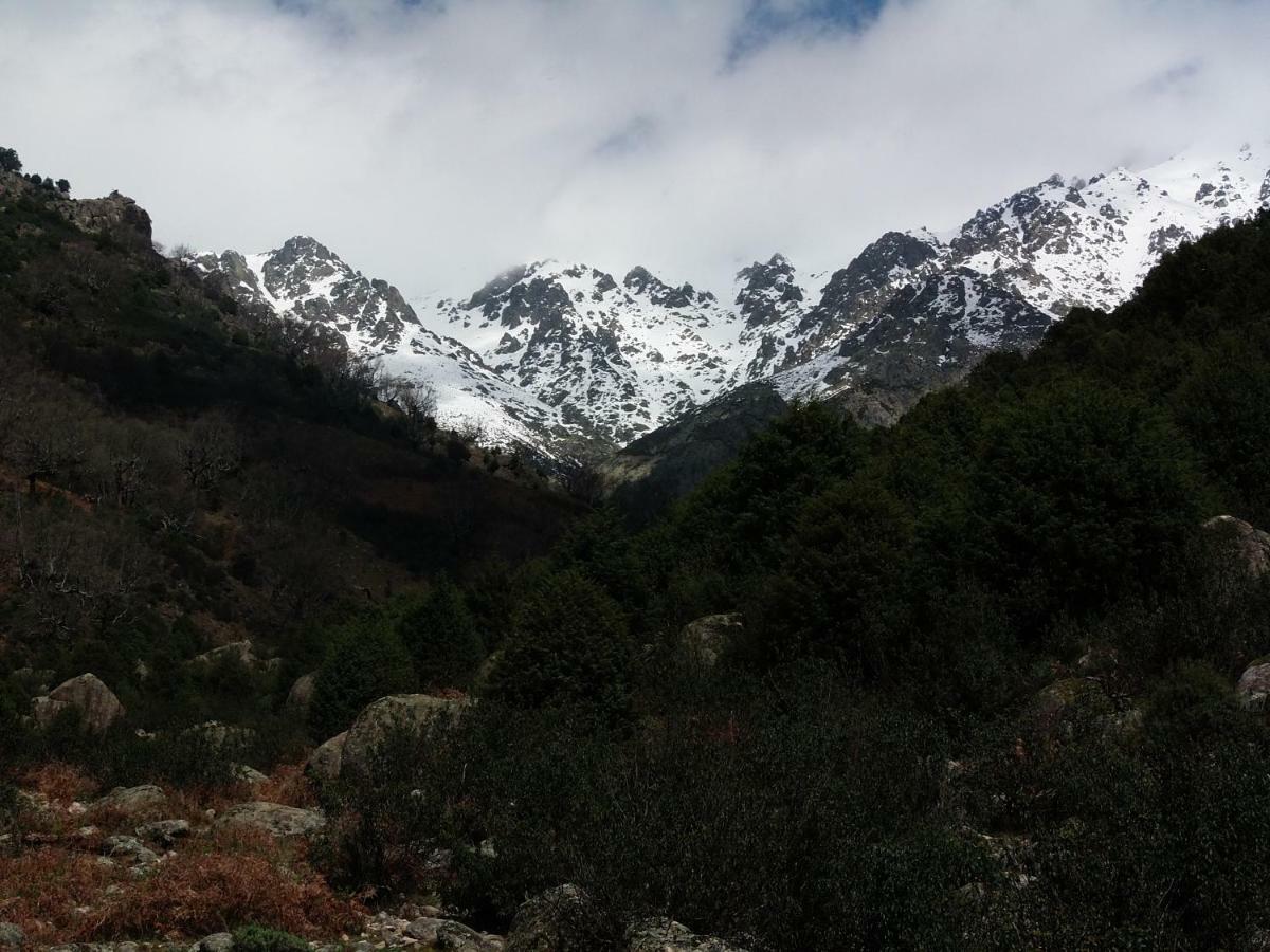 Rurales Ecopangea * Valverde de la Vera