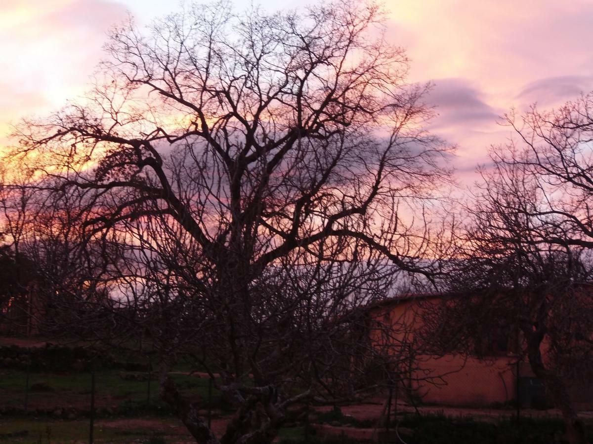 Rurales Ecopangea Country house *