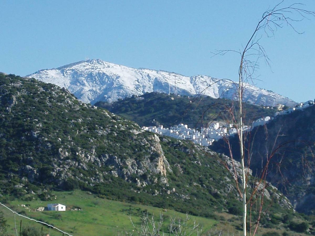 Con Vistas En Сasa de vacaciones