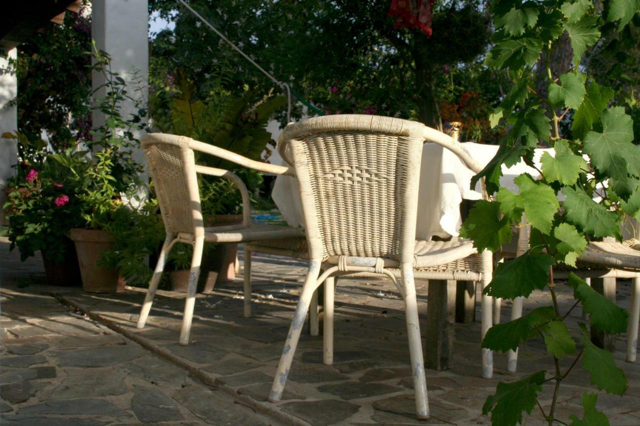 La Alhucema Bed & Breakfast Chiclana de la Frontera