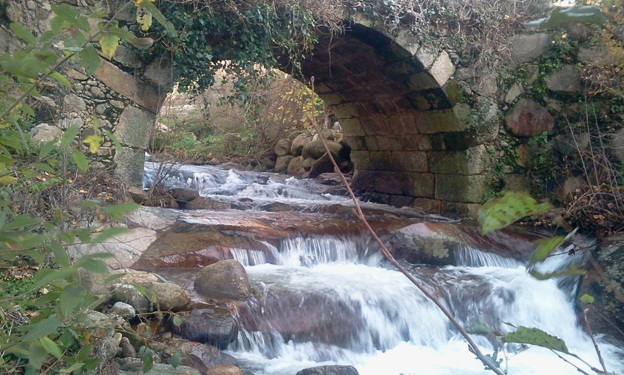 Cr.ciudad De Verdeoliva