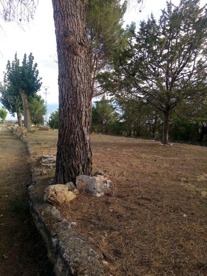 Apartamento Tobares