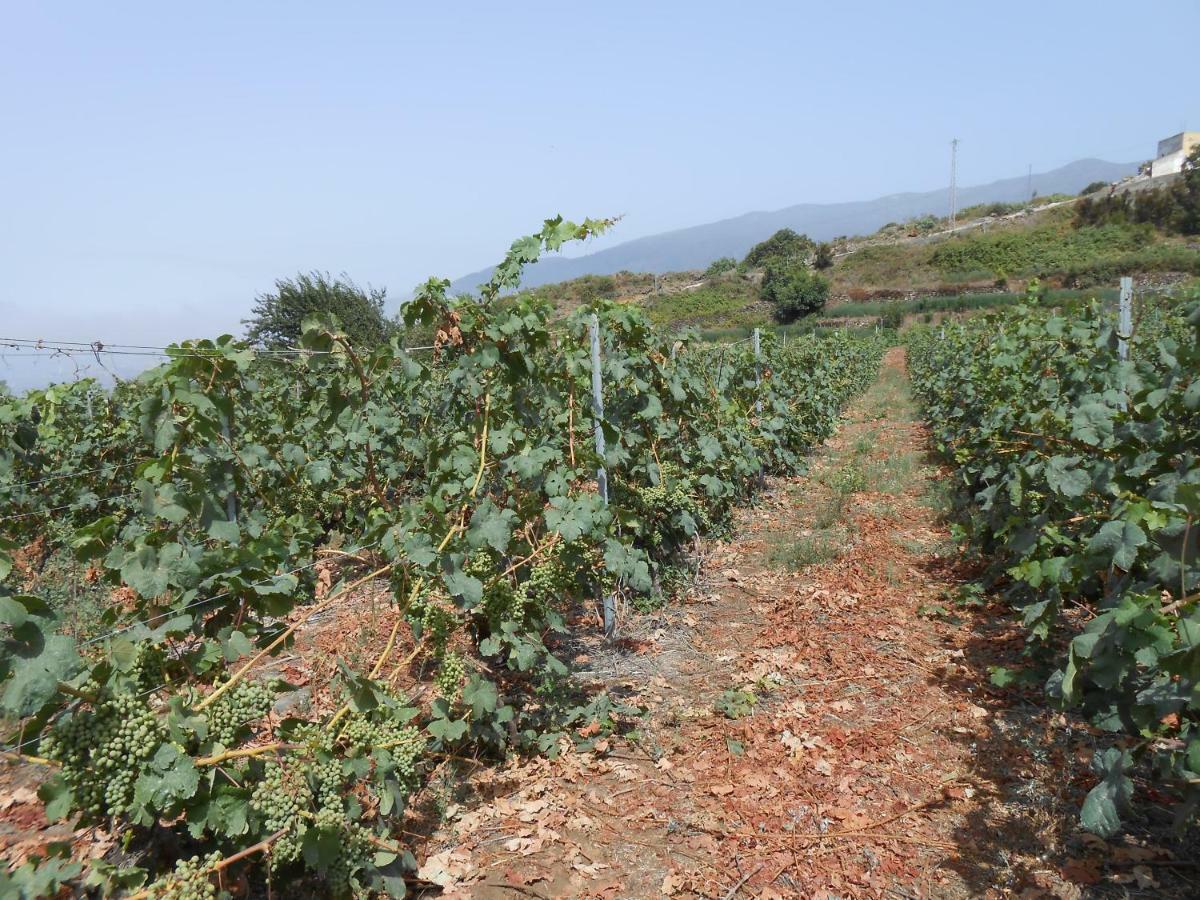 Casitas Uvas Y Viñas Сasa de vacaciones Los Realejos