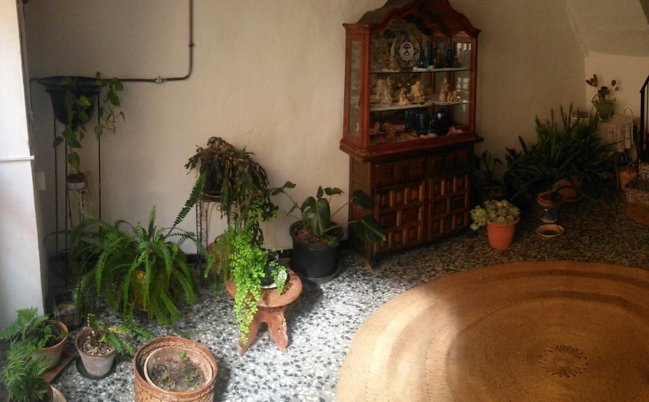 Apartamento Rural