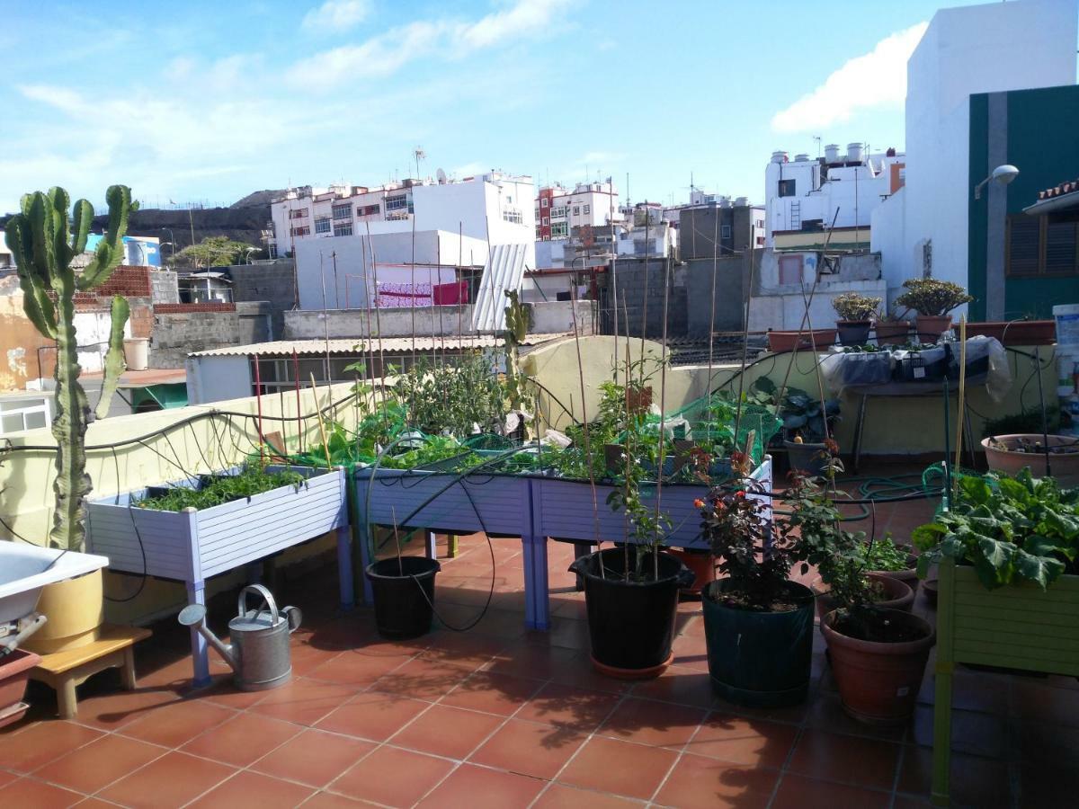 Atico Confital Las Palmas de Gran Canaria