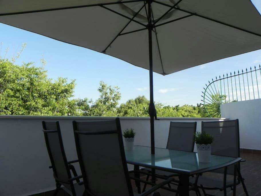 Apartamento Atico Con Terraza En Alameda De Hercules