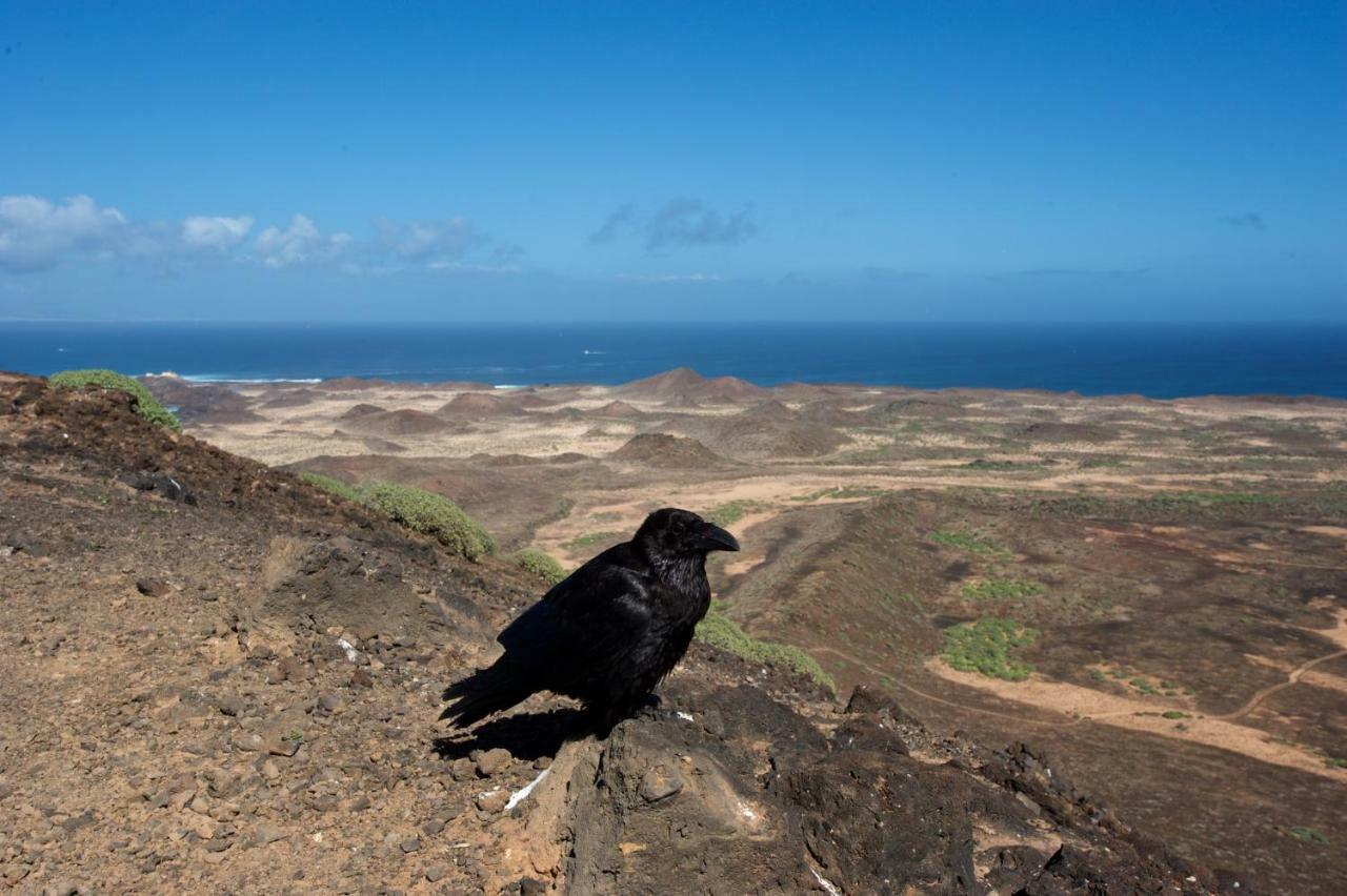 Molino De El Roque * El Cotillo (Fuerteventura)