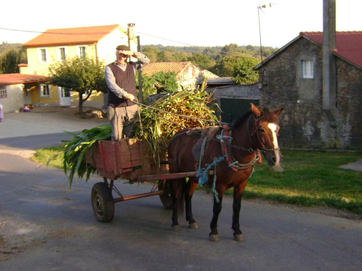 Country house Stone Cottage O Cebreiro Curtis