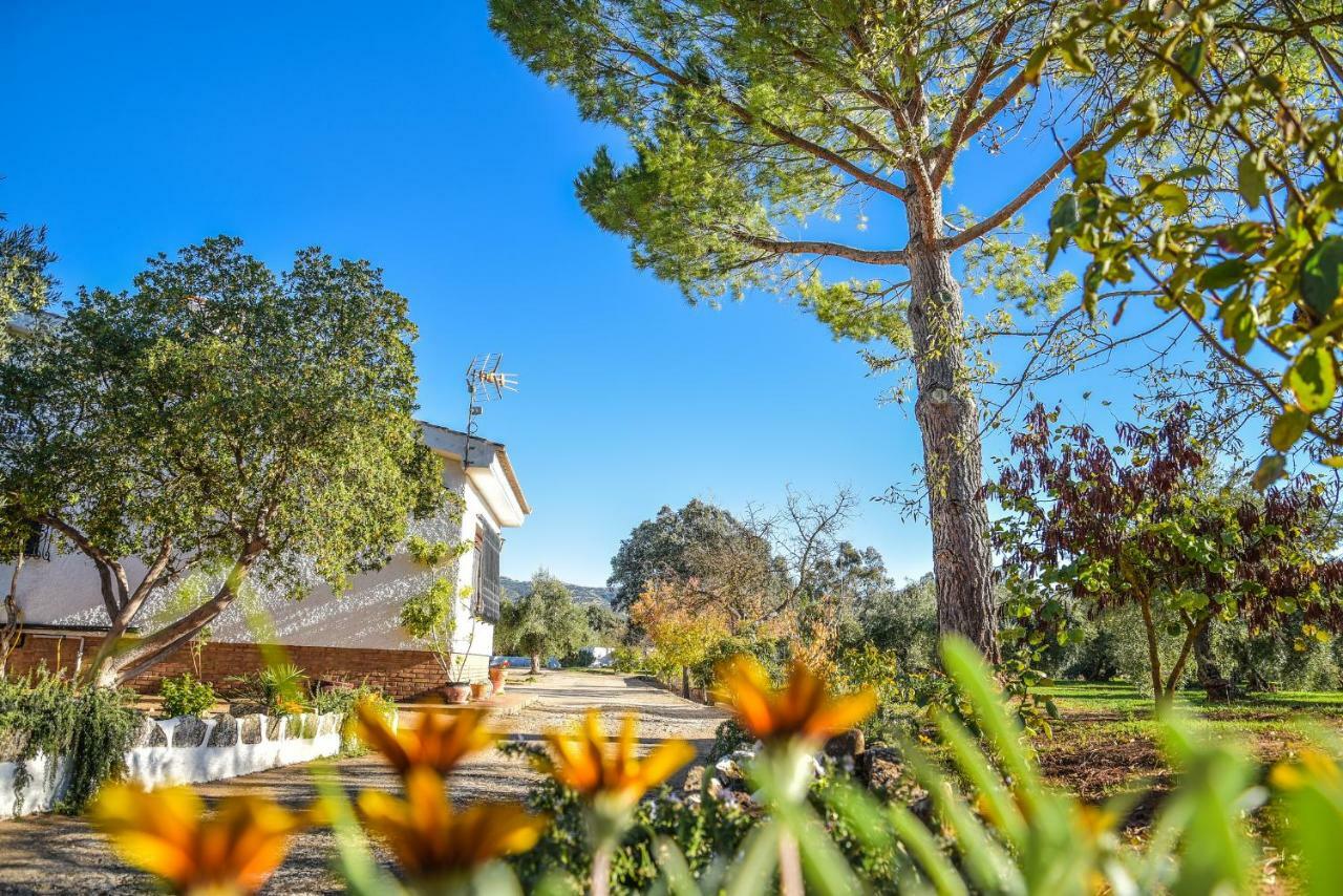 Recreo San Andres Country house *