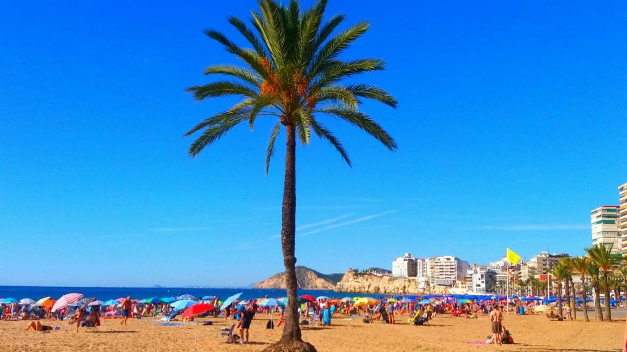 Apartamento First Line Benidorm