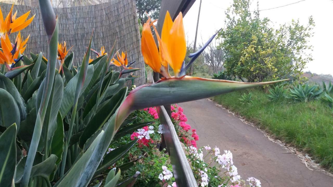 Сasa de vacaciones Barrancolaurel Moya (Gran Canaria)