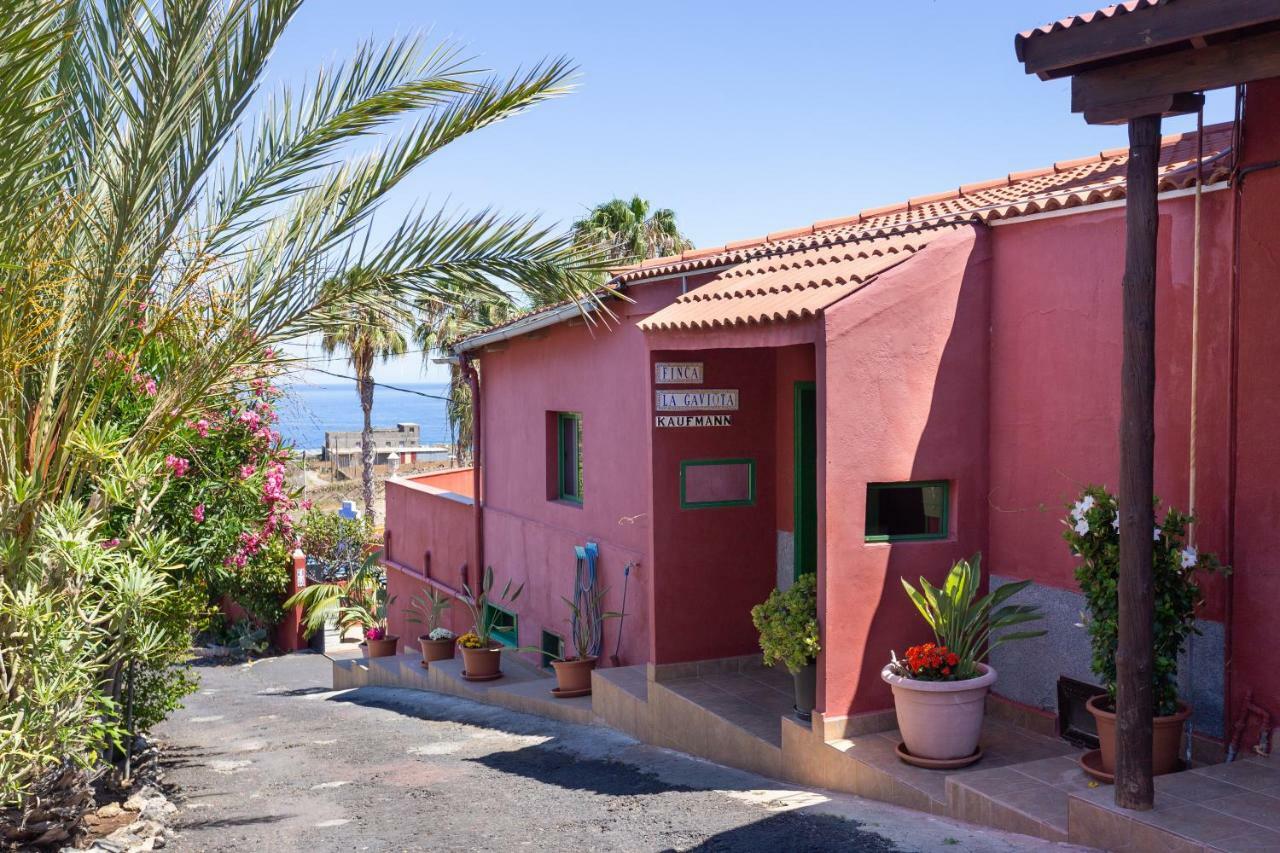 Apartment La Gaviota - Flores *
