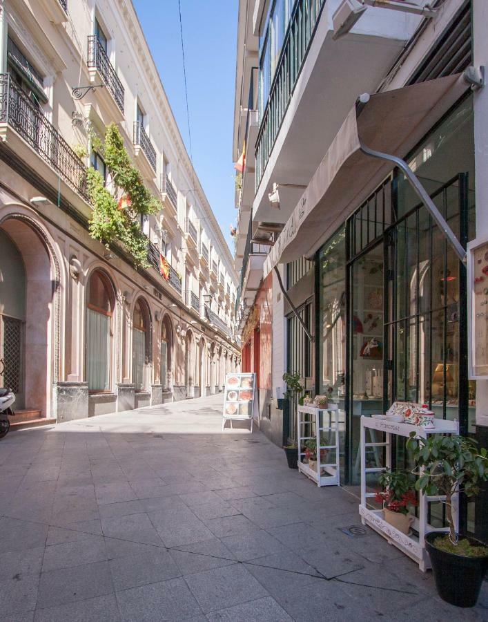 Botanic Duplex Terrace 5 Pax Sevilla
