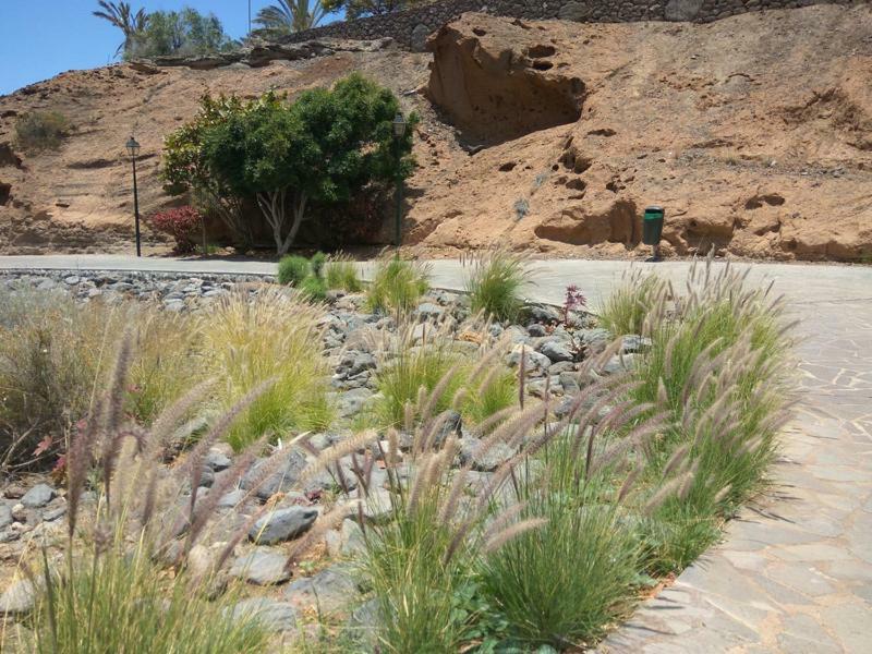 Apartment Studio With Ocean View. 100 M Beach *