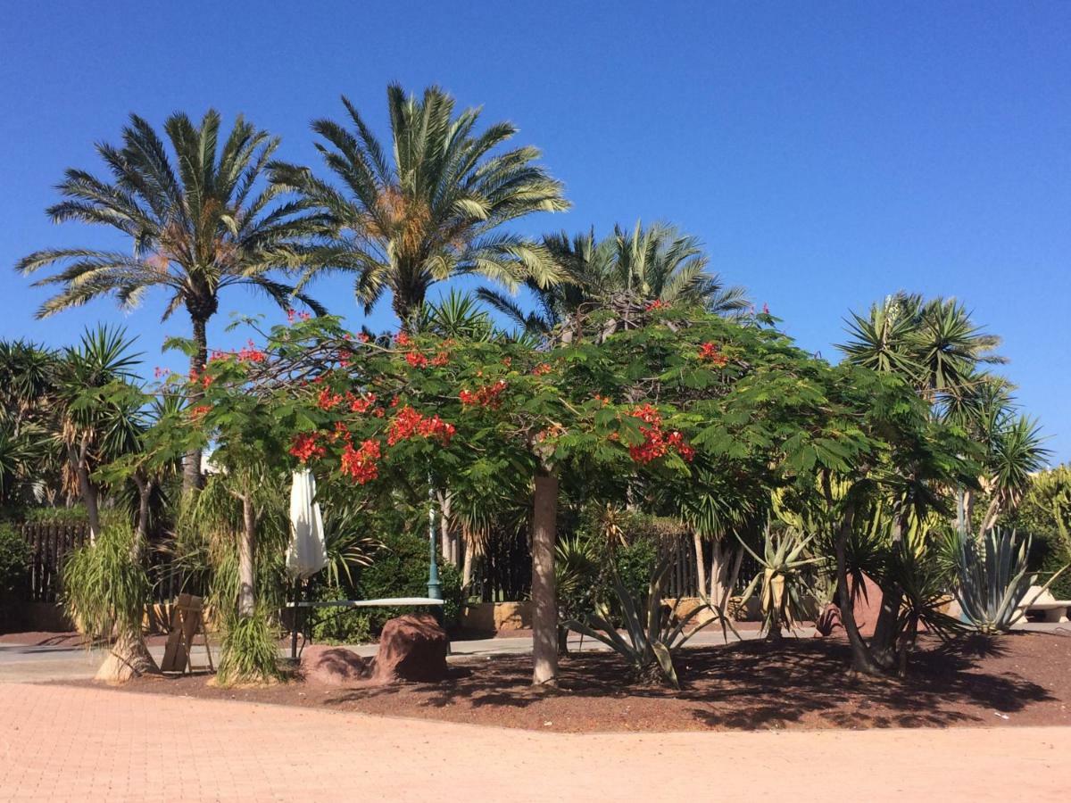 Canary Islands Getaway