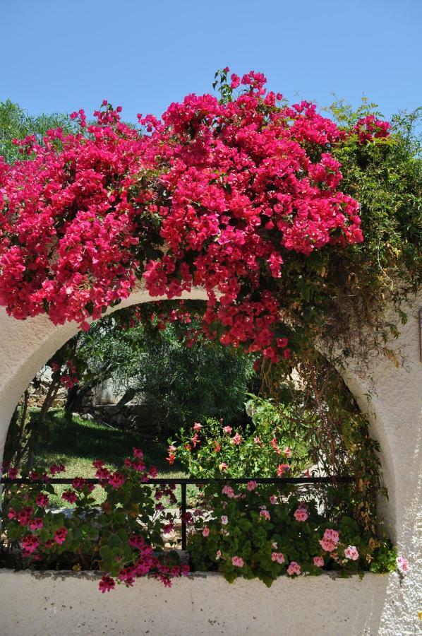 Holiday home Casa Hortensia *