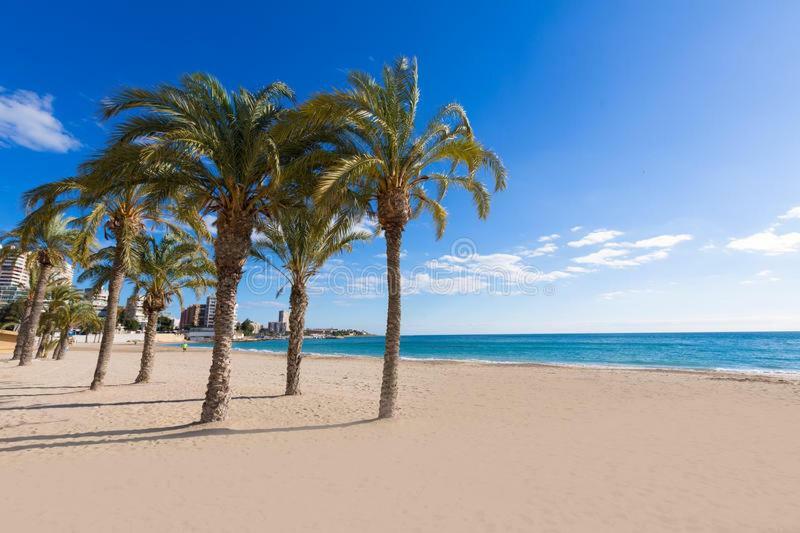 Apartamento Piso Vacacional *