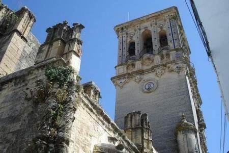 The Nest In The Old Town *