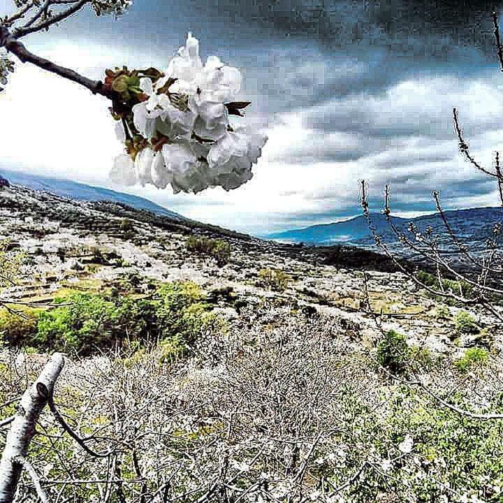 El Pajar De Tía María