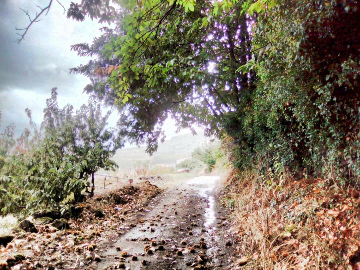 El Pajar De Tía María * Casas del Castañar