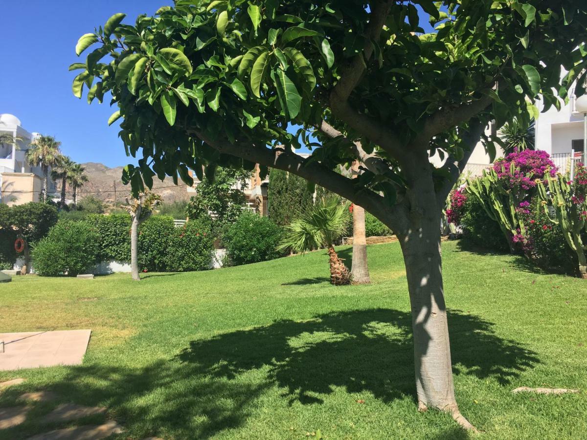 Stunning Location! 15m To *