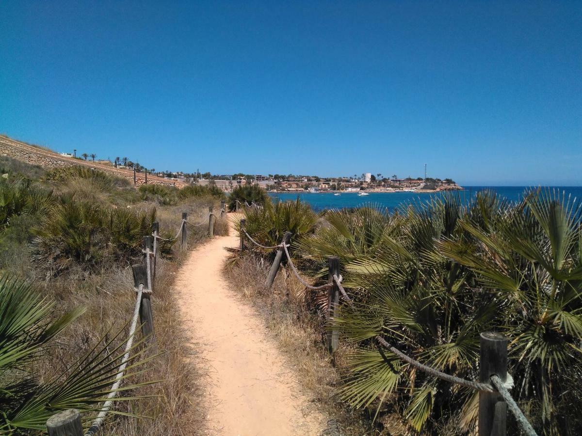 Mandarín * Oriola (Orihuela)