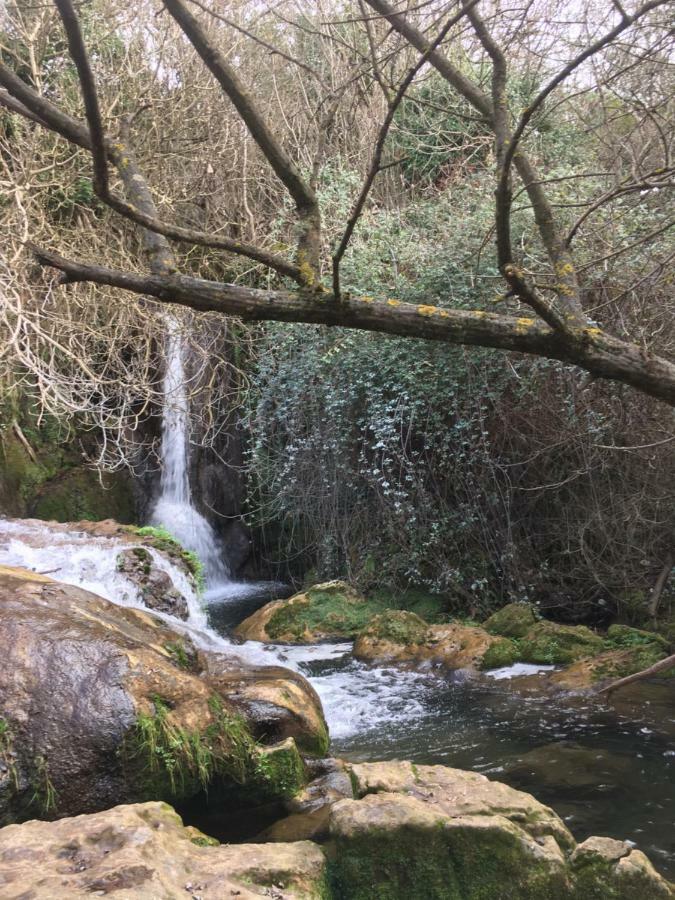 Nacimiento Del Huéznar - Tomillo 17 * San Nicolás del Puerto