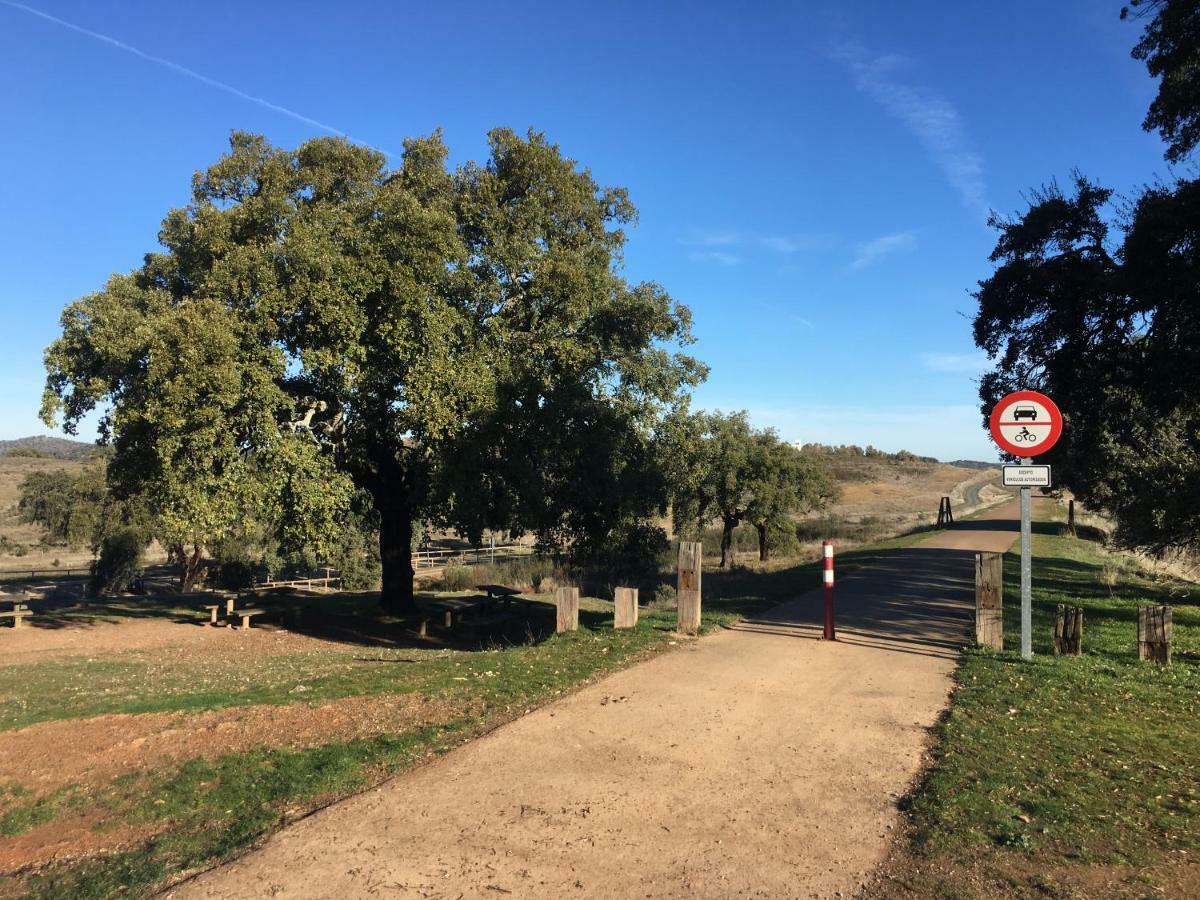 Nacimiento Del Huéznar - Tomillo 17 *