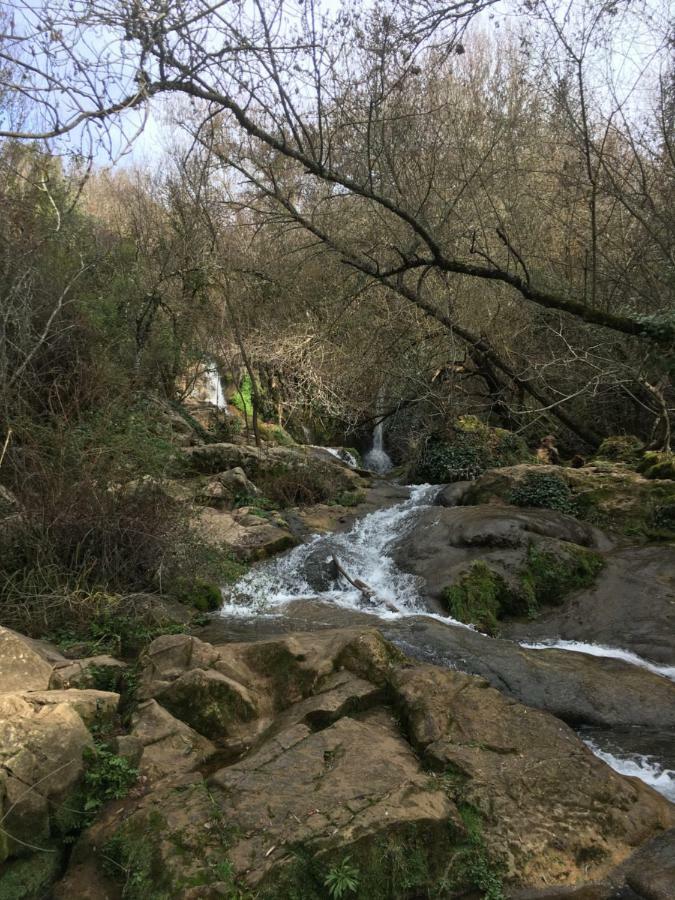 Nacimiento Del Huéznar - Tomillo 17