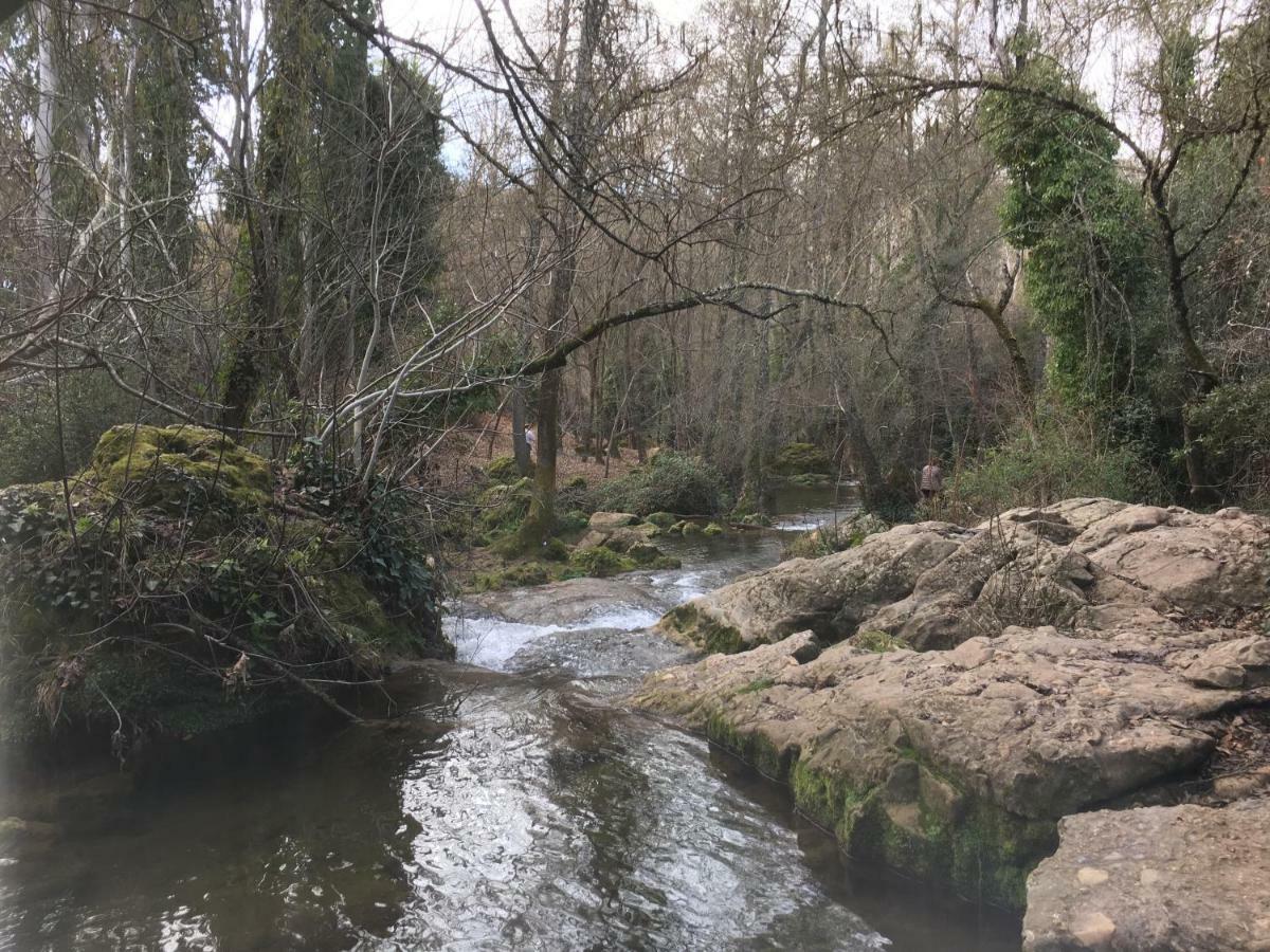 Nacimiento Del Huéznar - Tomillo 17 * San Nicolás del Puerto
