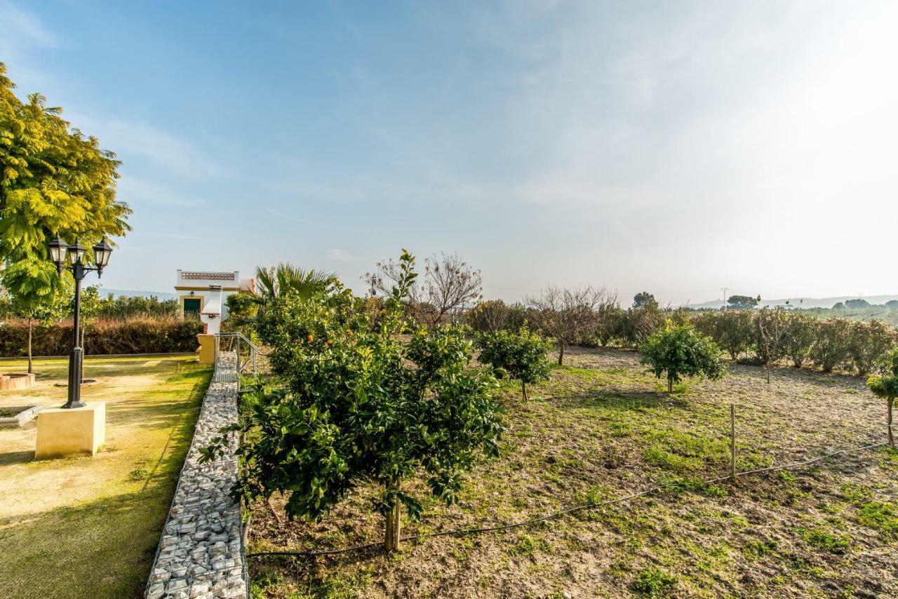 Vivienda Rural Olivar De San Telmo *