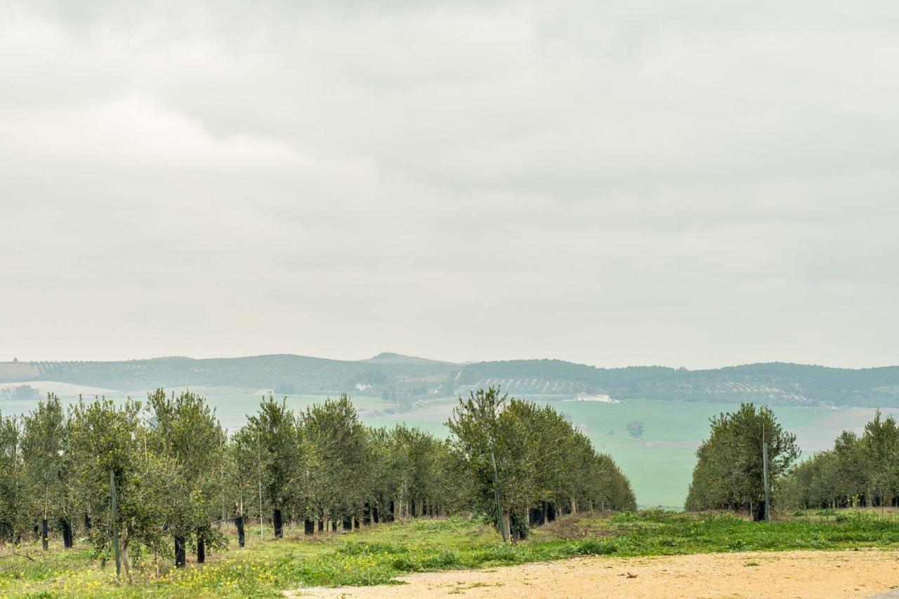 Сasa de vacaciones Vivienda Rural Olivar De San Telmo *