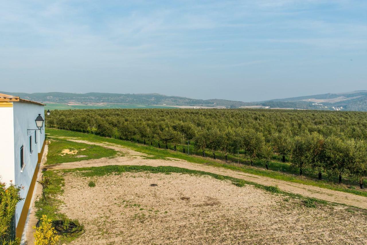 Vivienda Rural Olivar De San Telmo * Arcos de la Frontera