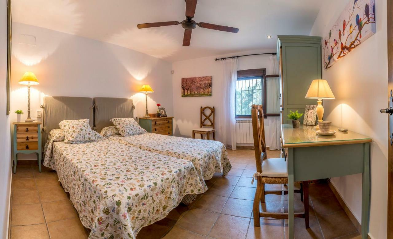 Vivienda Rural Olivar De San Telmo