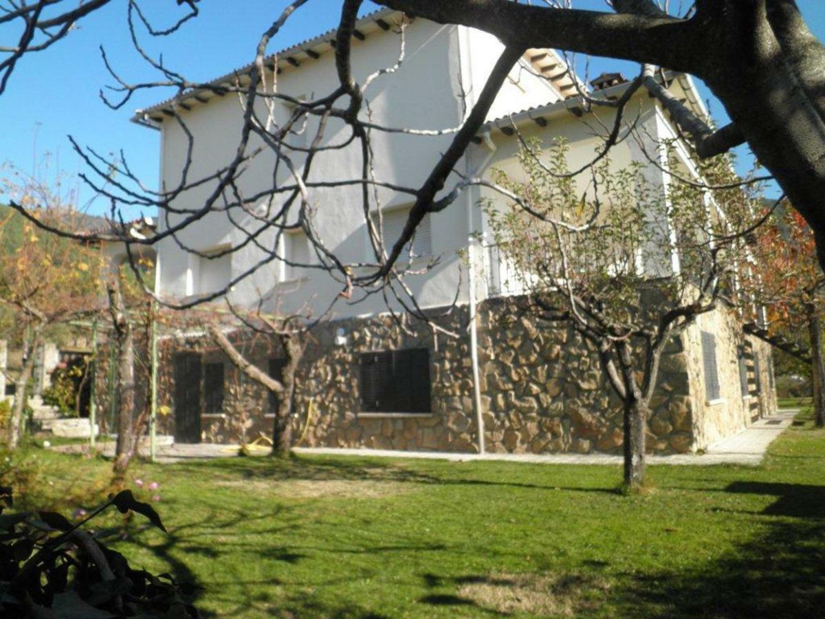 Amatalasvinas Holiday home