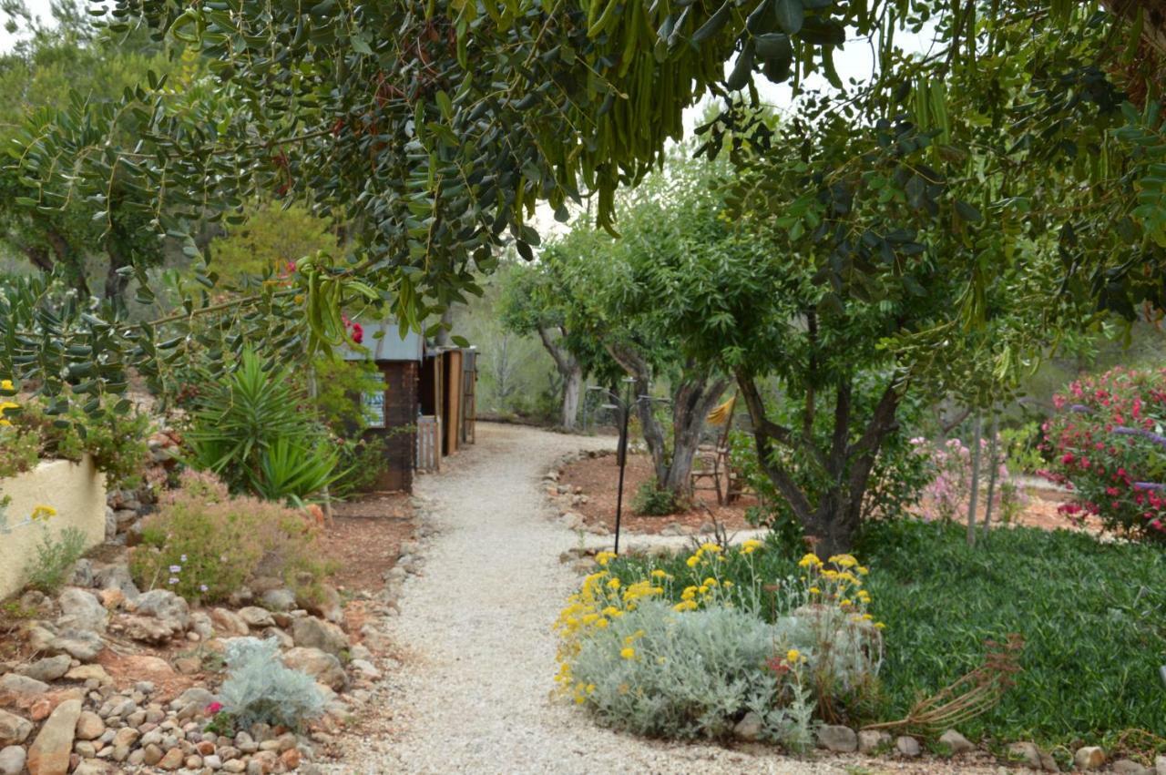 Finca Lliber
