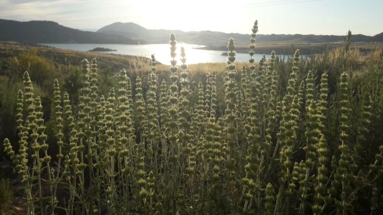 Casaenmedio * Valle de Abdalajís